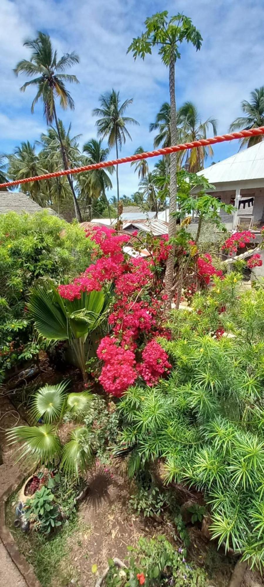La Locanda Lodge - Apartment, 4 Double Rooms & Kitchen Near The Beach Jambiani  Exterior foto